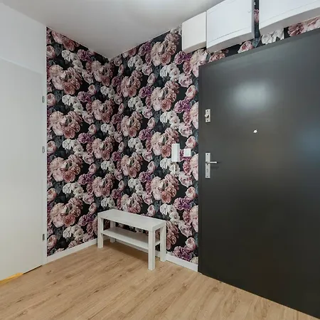 Rosa Janow Z Miejscem Parkingowym Łódź