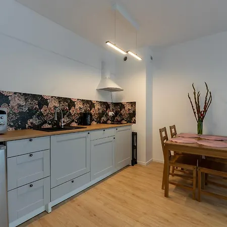 Rosa Janow Z Miejscem Parkingowym Łódź