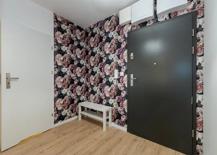 Rosa Janow Z Miejscem Parkingowym Łódź