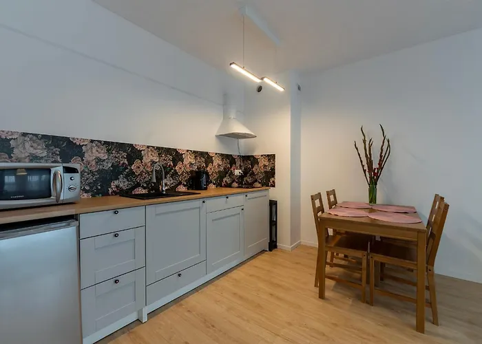 Rosa Janow Z Miejscem Parkingowym Łódź